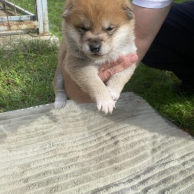 Viber kép 2025 09 28 14 03 17 585