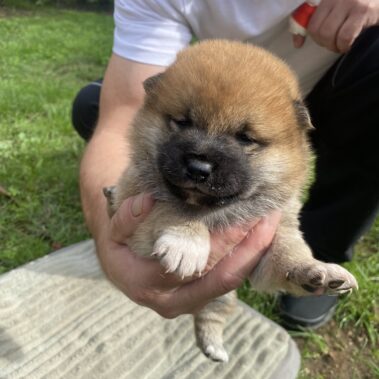 Viber kép 2025 09 28 14 03 18 845