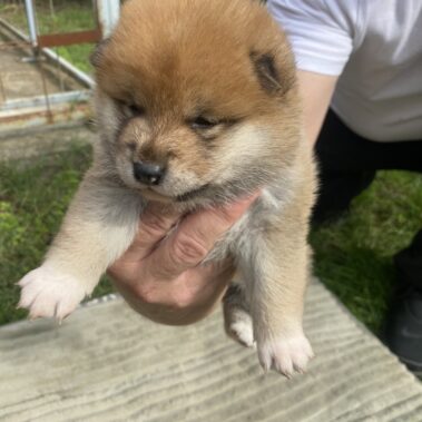 Viber kép 2025 09 28 14 03 49 109