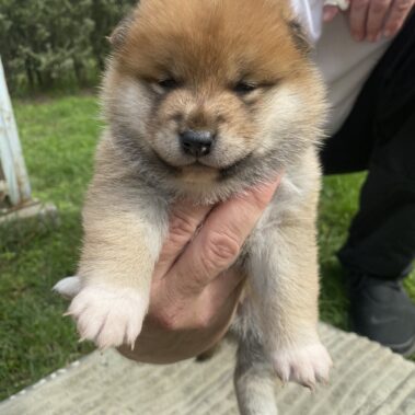 Viber kép 2025 09 28 14 03 50 003