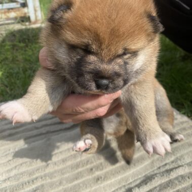 Viber kép 2025 09 28 14 03 50 534