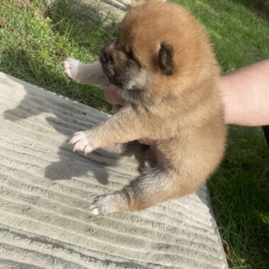 Viber kép 2025 09 28 14 03 51 296